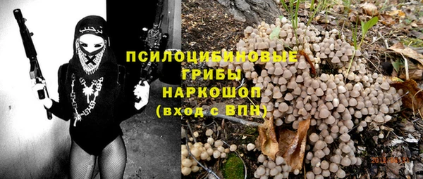 дмт Надым