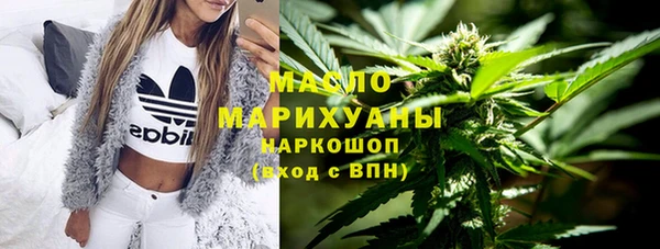 дмт Надым