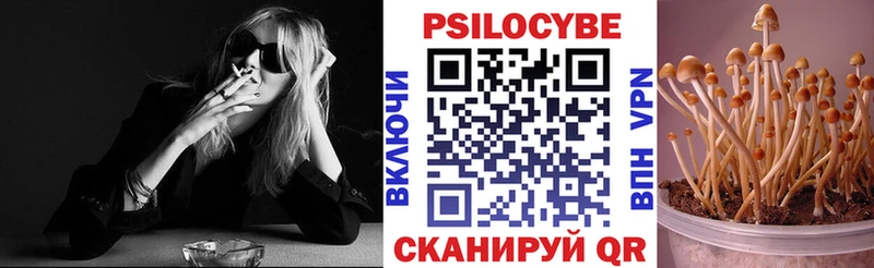 Псилоцибиновые грибы прущие грибы  Сальск 