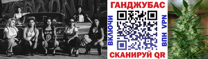 где купить наркоту  Сальск  Бошки Шишки планчик 